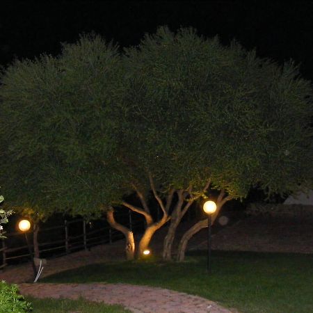 Tenuta Su Vrau Посада Экстерьер фото